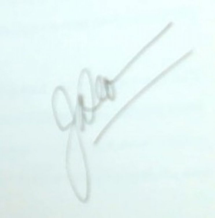 Forty Years of Motorsport Photography (Signed by the author Jesse Alexander)