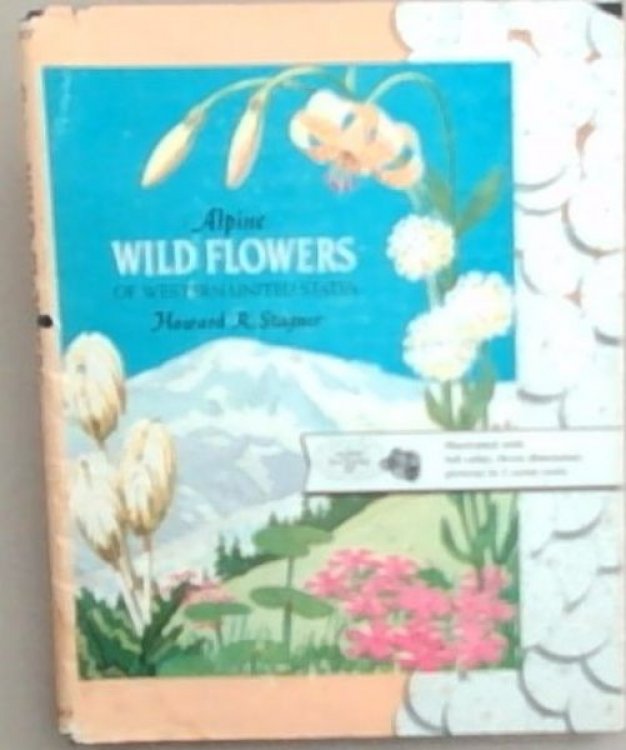 Alpine Wild Flowers of Western United States