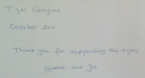 Chuffing Tigers at Tiger Canyons ( Inscribed by both the authors Van Bommel, Yvette and Jos)