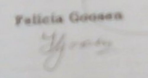 Sandsteenkasteel: 'n Historiese roman (Signed by the author Felicia Goosen)