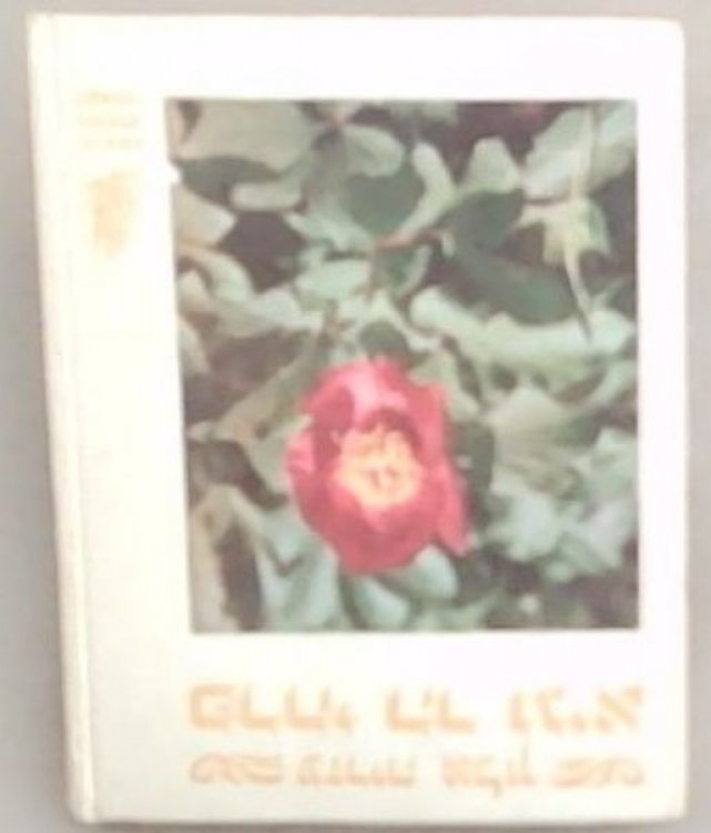 Flowers Of Mountain and Valley In Israel