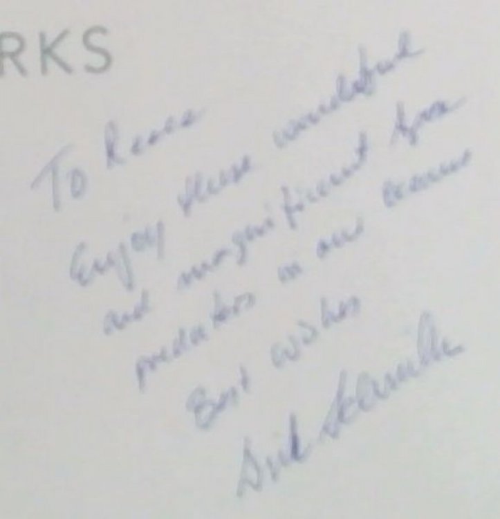 White Sharks: Magnificent Mysterious and Misunderstood (Including attack profile and approach behavior) Signed twice by the author Dirk Schmidt