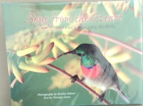 Songs From The Heart: Malawi's Amazing Birdlife