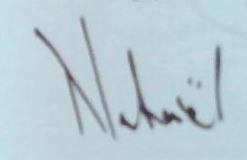 ZIP! NATANIEL Stories - 41 Stories (Signed by the author Nataniel)