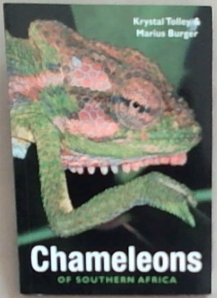 Chameleons of Southern Africa