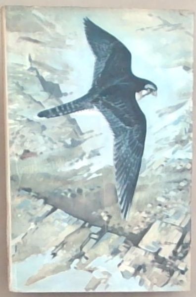Varda The Flight of a Falcon