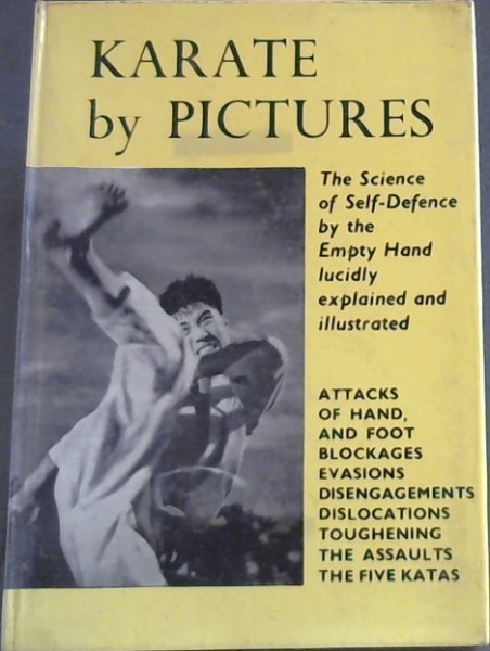 Karate by Pictures
