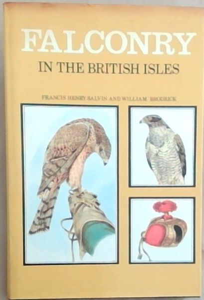 Falconry in the British Isles