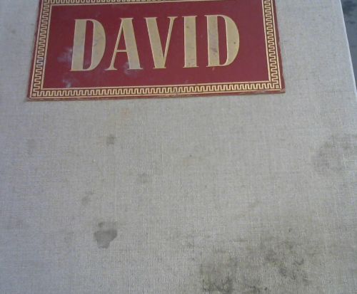 David: Naissance du Genie d'un Peintre