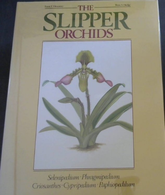 The slipper orchids