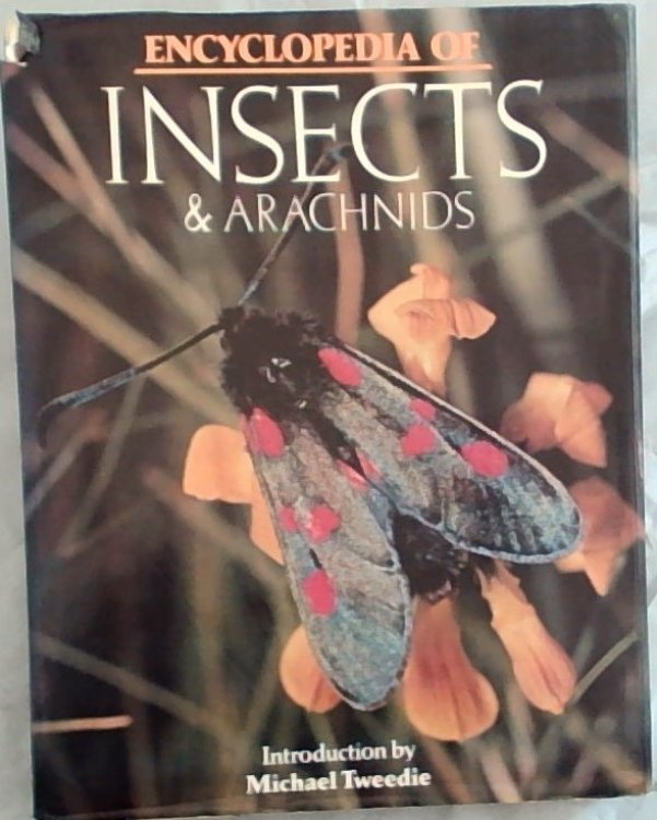 Encyclopedia of insects & arachnids