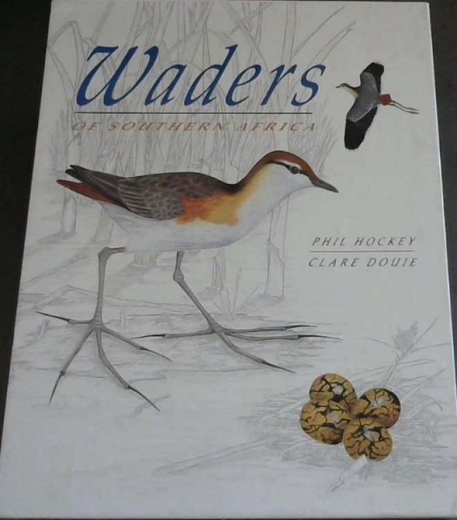 Waders of Southern Africa