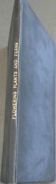 Flowering Plants and Ferns of the Transvaal and Swaziland