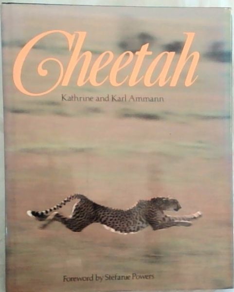 Cheetah