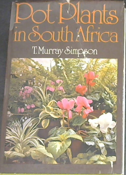 Pot plants in South Africa: How to grow them