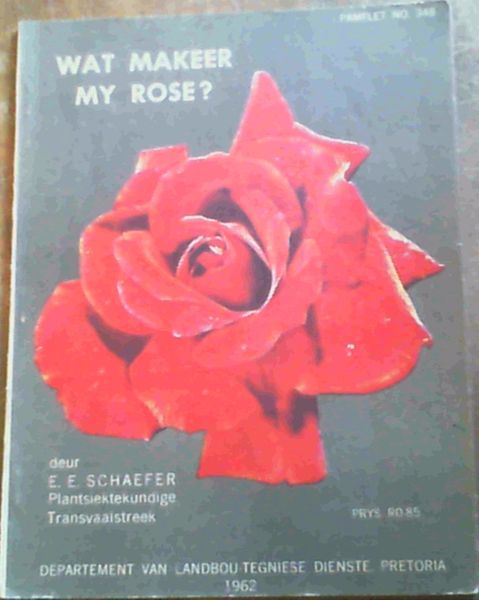 Wat Makeer My Rose