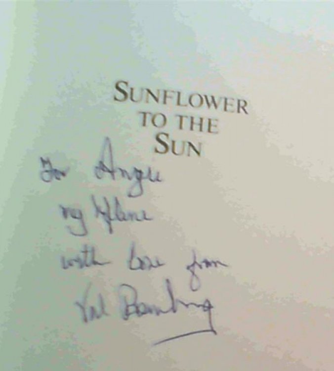 Sunflower to the Sun : The Life of Herman Charles Bosman