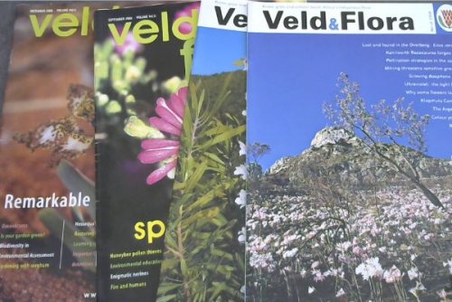 Veld & Flora Volume 94, No. 1 - 4. March, June, September & December 2008