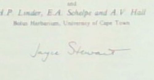 Wild orchids of southern Africa