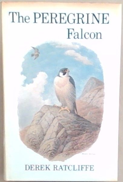 The Peregrine Falcon