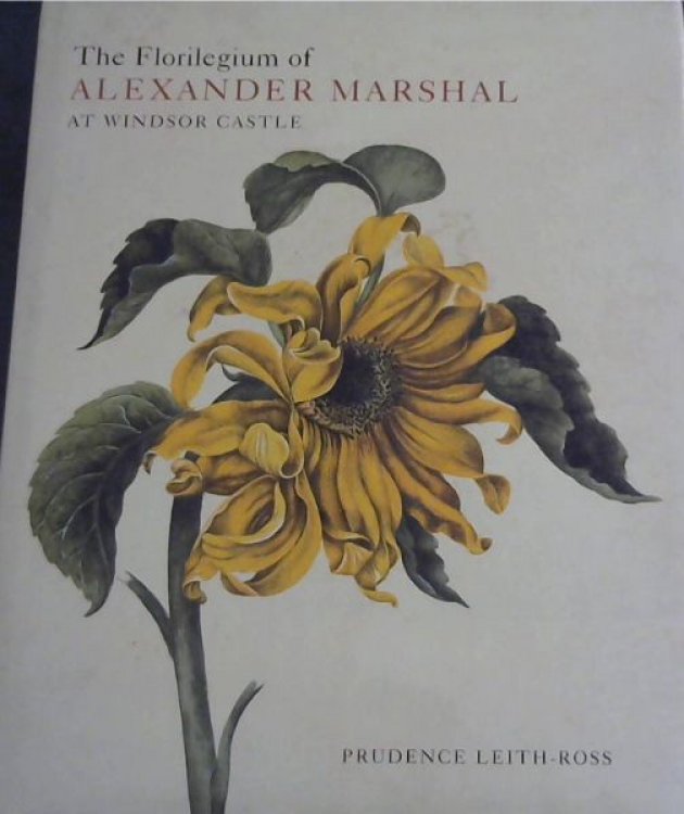 The Florilegium of Alexander Marshal at Windsor Castle (Natural History Drawings at Windsor Castle S)