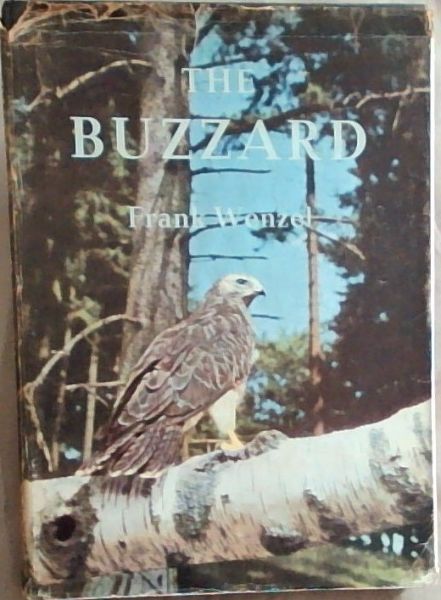 The Buzzard