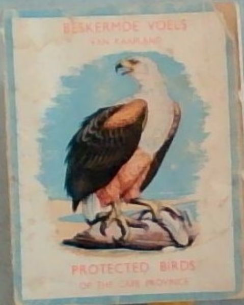 Beskermde Voels Van Kaapland/Protected Birds Of The Cape Province