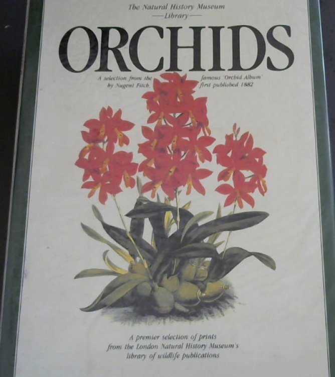 Orchids (The Natural History Museum Library) A selection from the famous 'Orchid Album' by Nugent Fitch, first published 1882