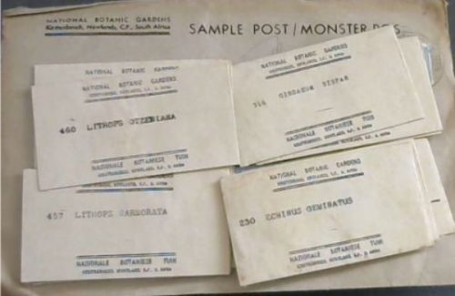 Sample Seed Packets from Kirstenbosch Gardens