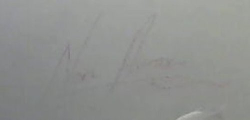 The Whales of Walker Bay - A naturalist's guide to these great ocean travellers, their identifications and hidden lives beneath the waves