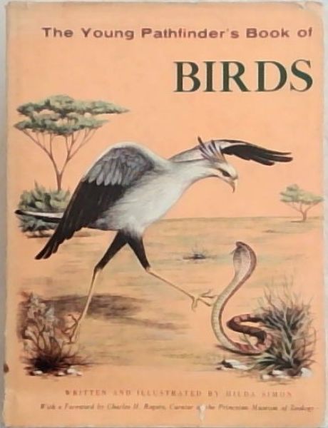 The Young Pathfinder's Book Of Birds