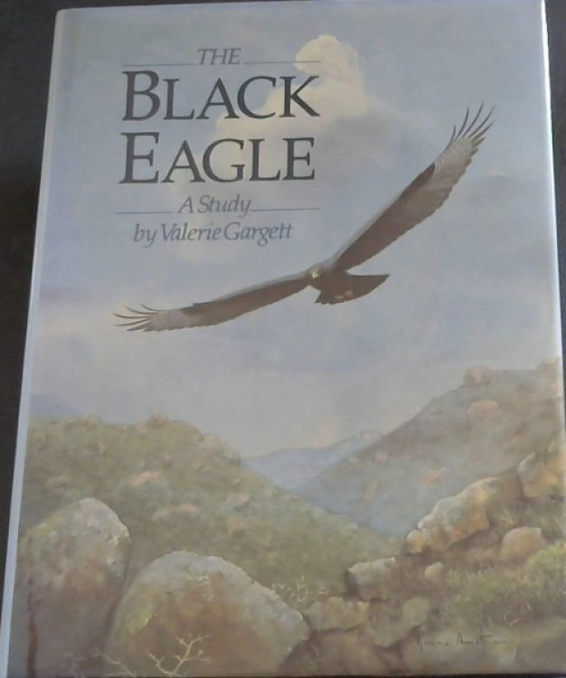 The Black Eagle: A study