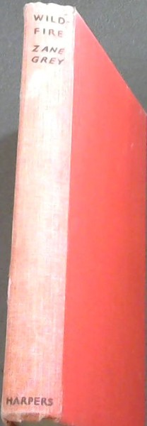 WILDFIRE - A Novel