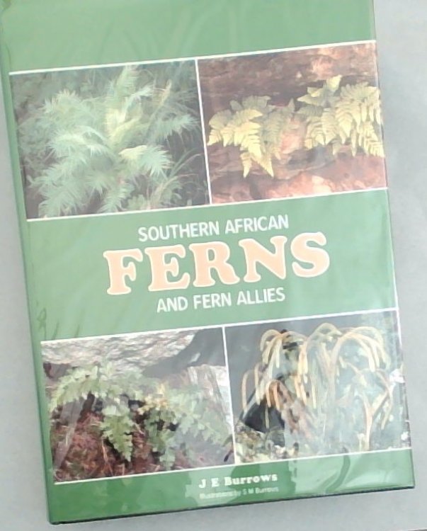Southern African ferns and fern allies