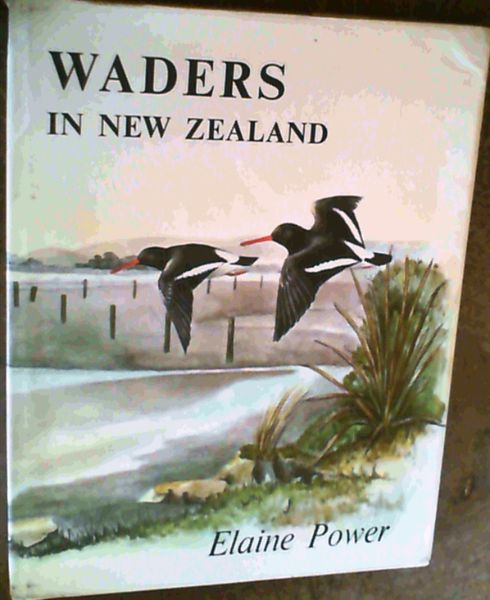 Waders In New Zealand