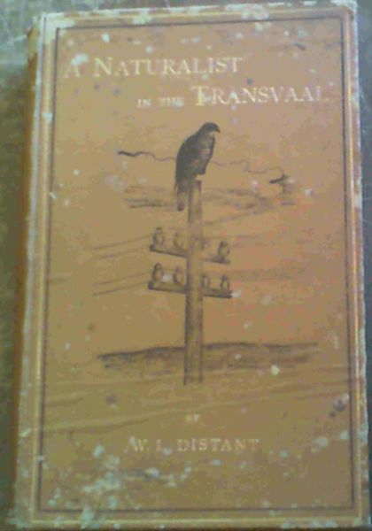 A Naturalist in the Transvaal