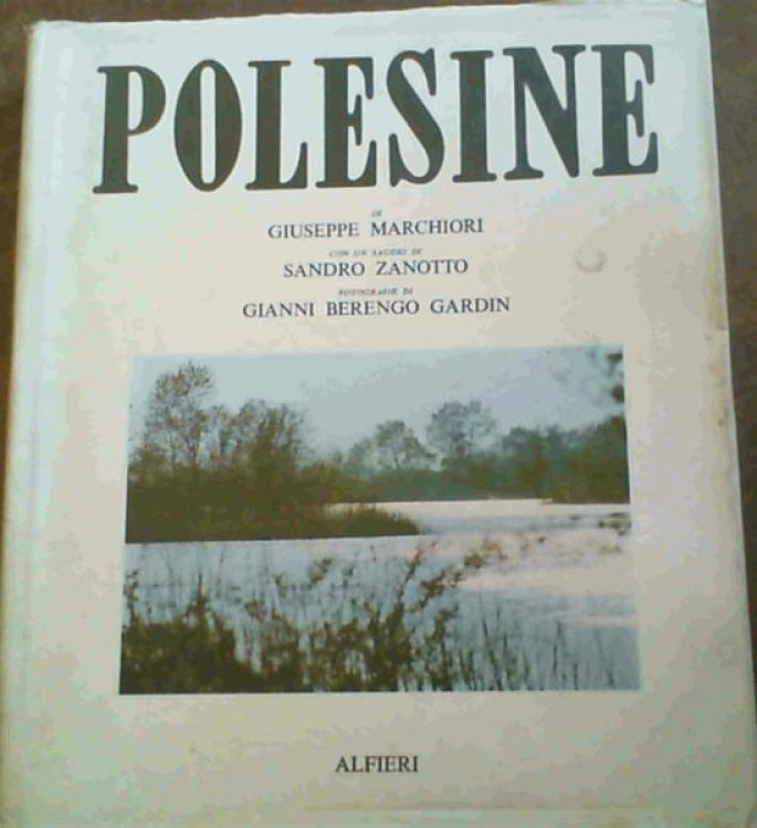 Polesine