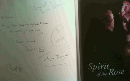 Spirit of the Rose: A Love Story