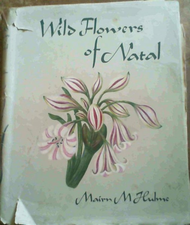 Image for Wild Flowers of Natal Wild Flowers of Natal