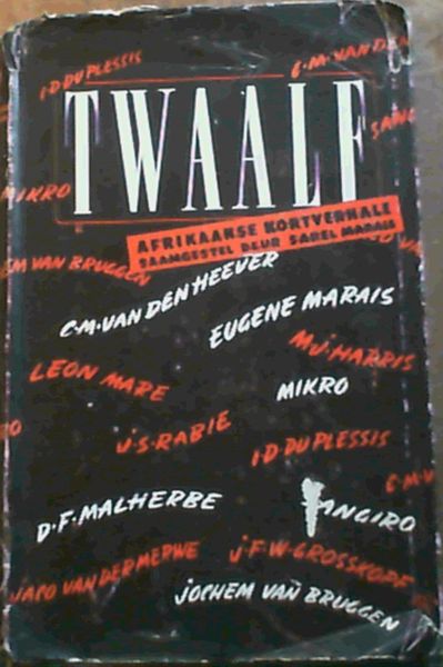 Twaalf Afrikaanse Kortverhale