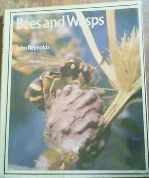 Bees and Wasps
