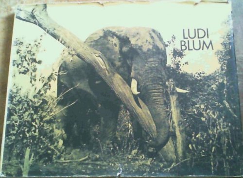 Wildlife in Camera