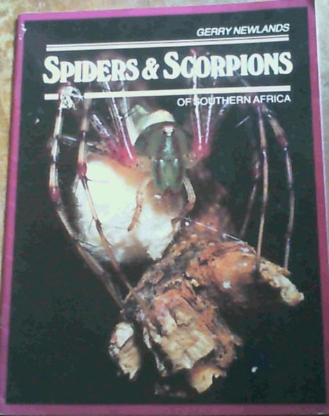 Spiders & Scorpions Of Southern Africa