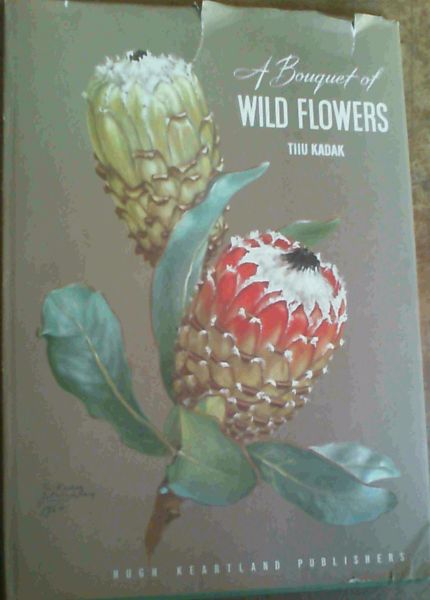 A Bouquet of Wild Flowers