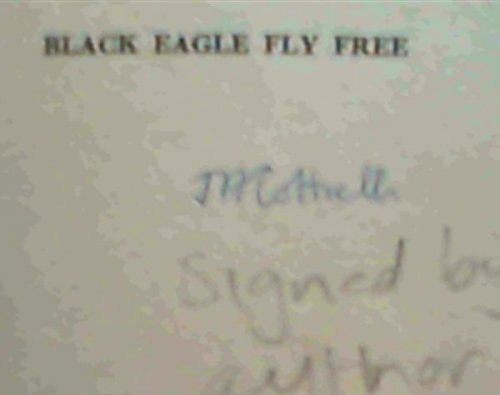 Black eagle fly free