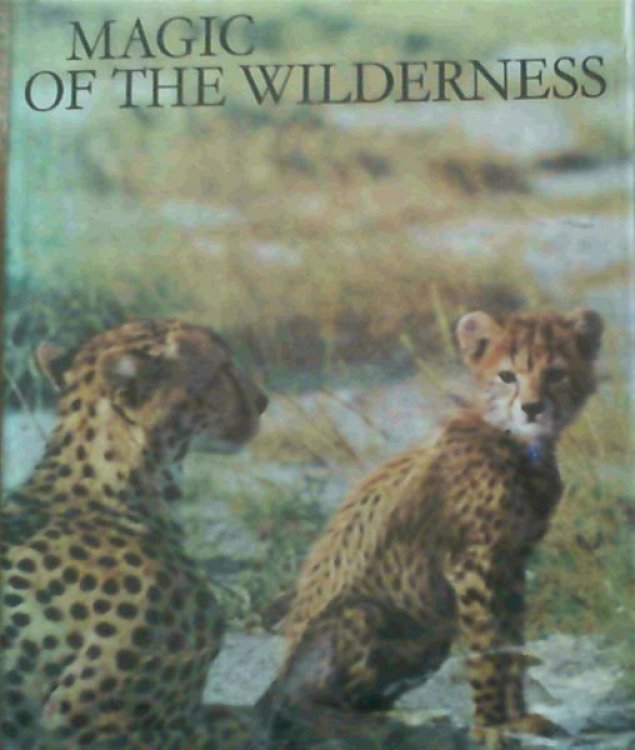 The Magic of the Wilderness