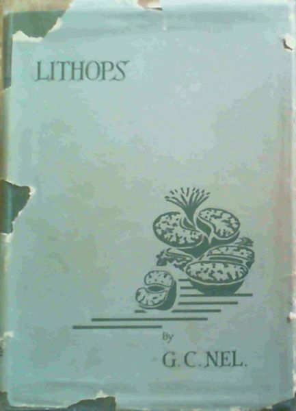 Lithops - Plantae succulentae, rarissimae, in terra obsuratae, e familia Aizoaceae ex Africa australi