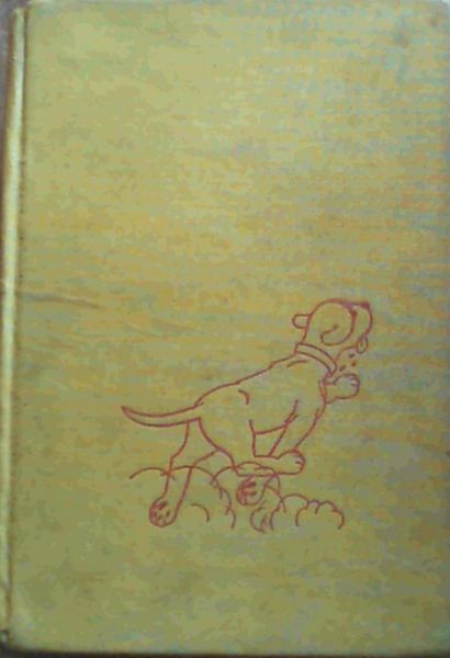 Otto in Africa