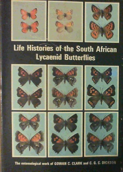 Life histories of the South African Lycaenid butterflies