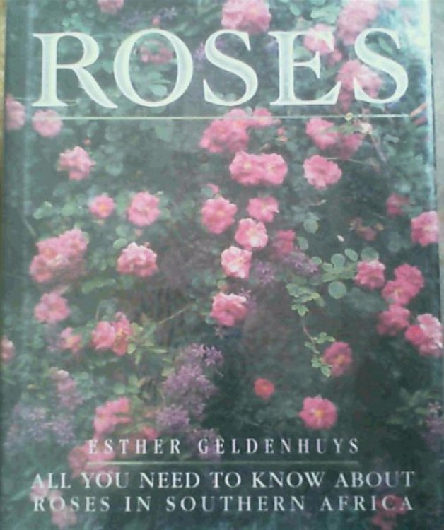 Image for Roses: All You Need to Know About Roses in South Africa Roses: All You Need to Know About Roses in South Africa